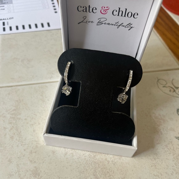 Cate& Chloe McKenzie 18k White Gold Plated Drop Dangle Earrings Women - Picture 1 of 3